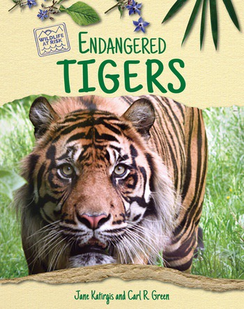 Endangered Tigers | Rosen Classroom