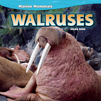 Marine Mammals | Rosen Classroom