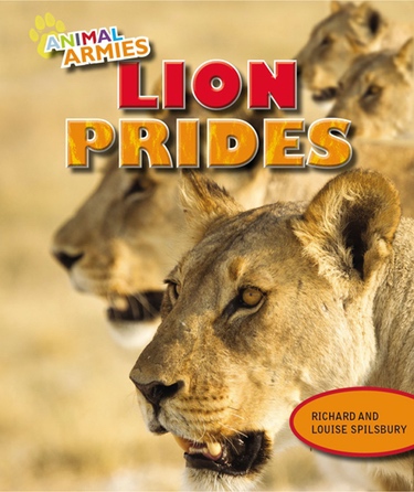 Lion Prides | Rosen Classroom