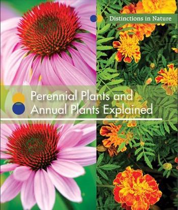 Perennial Plants and Annual Plants Explained | Rosen Classroom